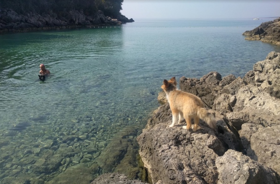 Plaža Redagara, Valda Gara Plaža za pse Krk