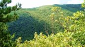 Park prirode papuk