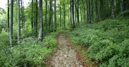 Park prirode ucka