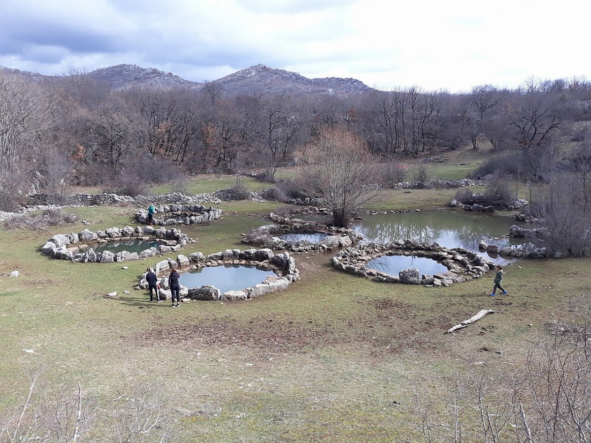 Bunari rajcica nisko