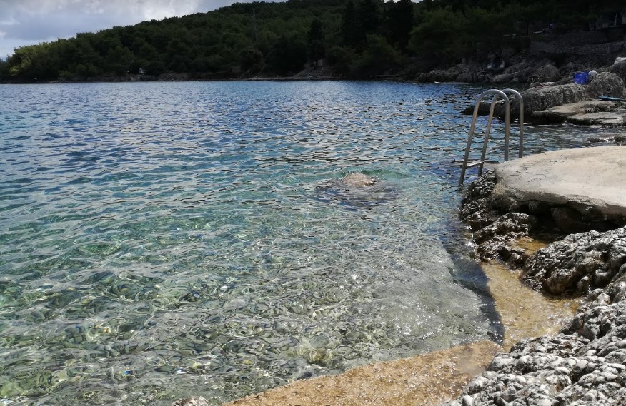 Plaža Ćinta Ugljan