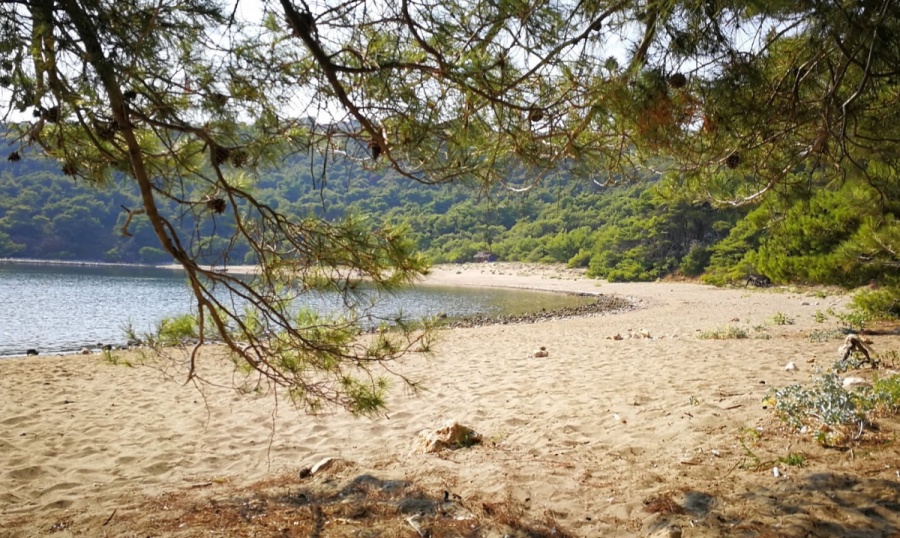 Plaža Limoni - Blace Mljet