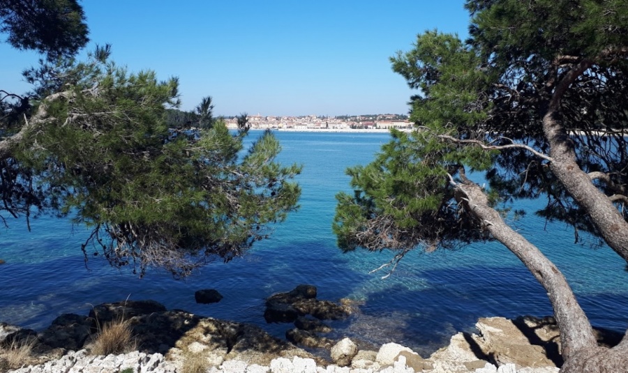 Plaža Zlatni rt Rovinj