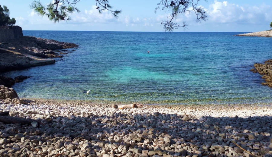 Plaža Porta Šešula, Mali Lošinj