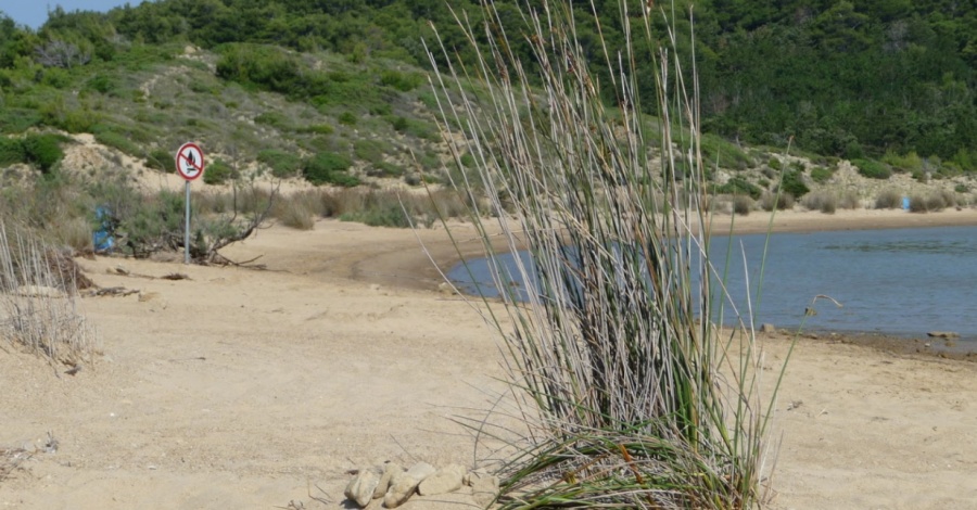 FKK Nudistička plaža Sahara Lopar Rab