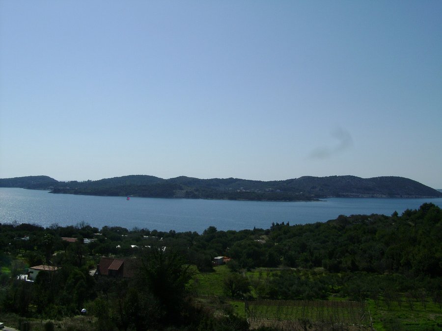 Kolocep