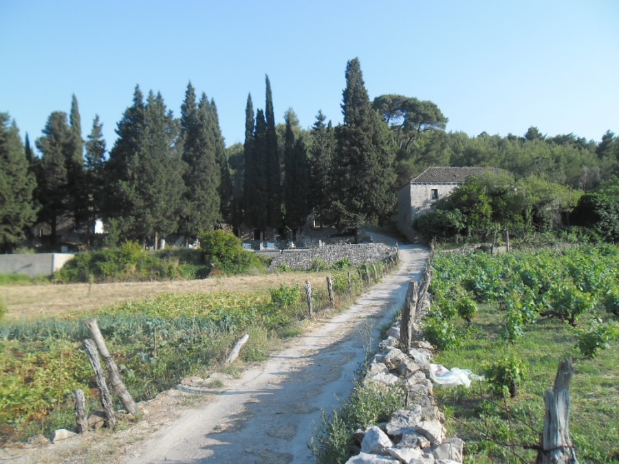 Babino Polje