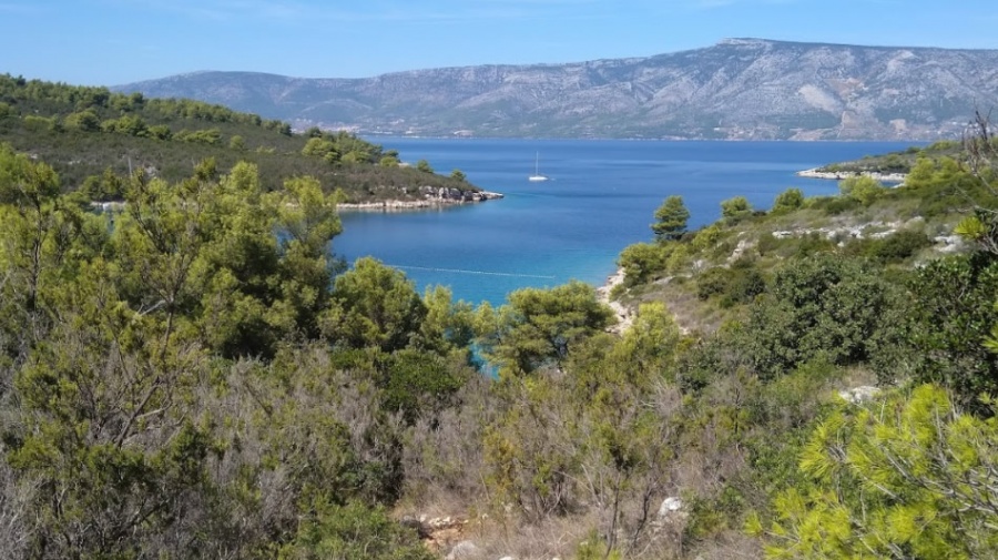 Uvala Žukova Hvar