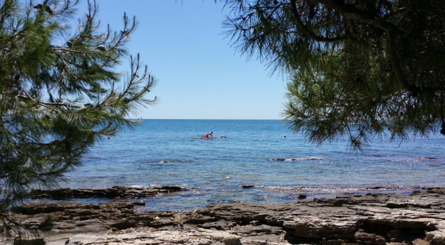 Bašanija Plaža pored kampa Pineta