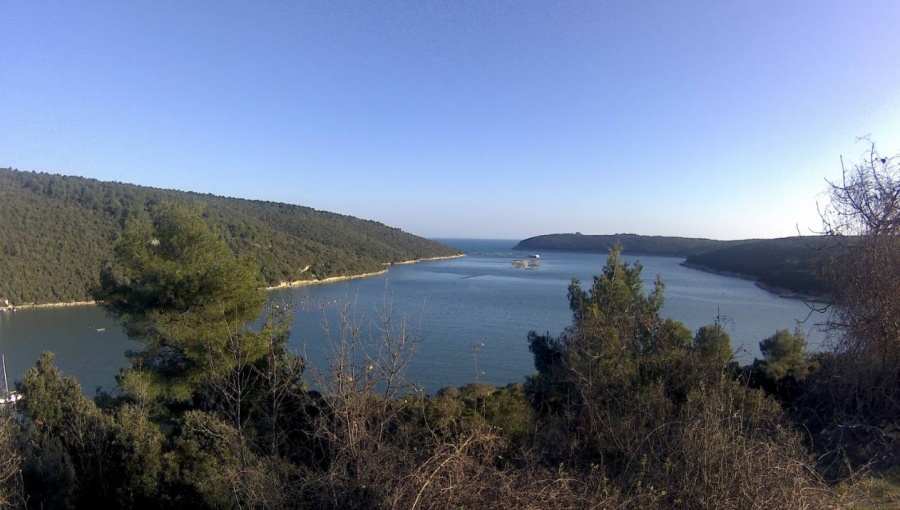 Plaža Uvala Budava Ližnjan