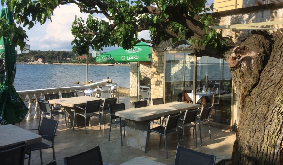 Restaurant Belveder Dajla Novigrad cijene, slike hrane, meni, kontakt forum komentari