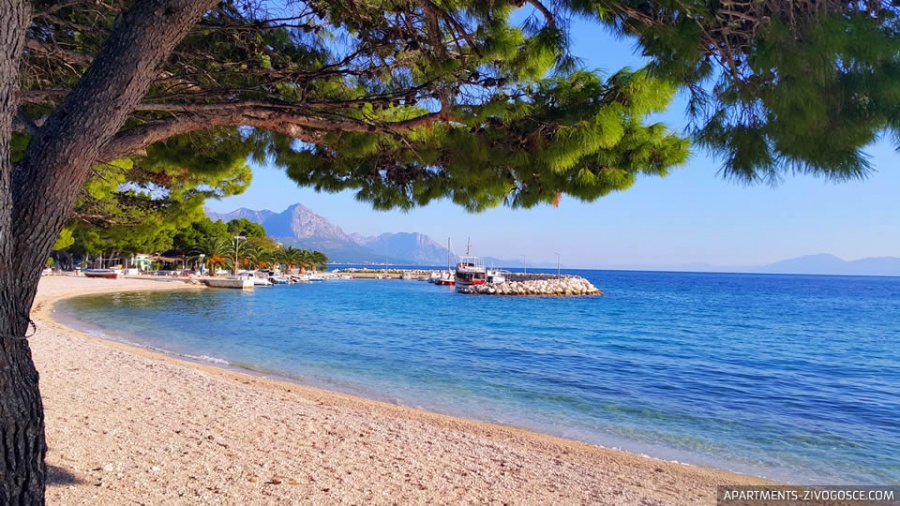 Živogošće Plaža Blato