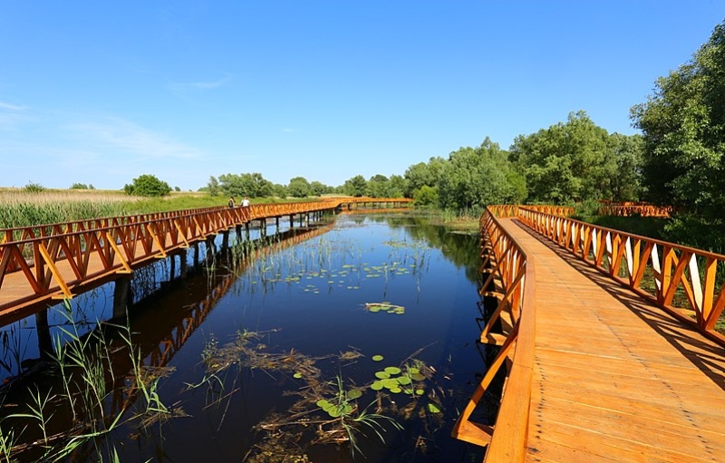 Park prirode Kopački rit - Biljke i Životinje, vožnja brodom i vlakom