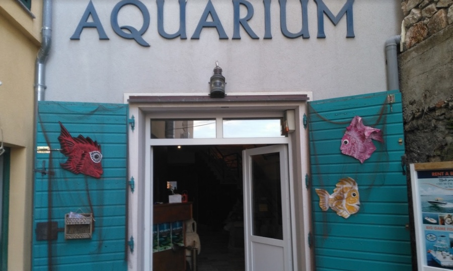 Aquarium & Museum of Maritime Tradition Vodice