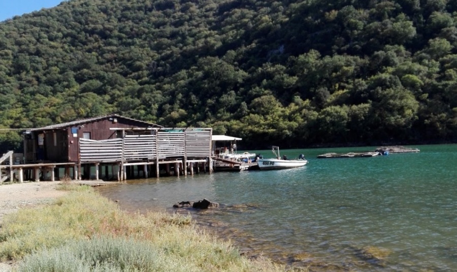 Tonys oyster shack Limski kanal