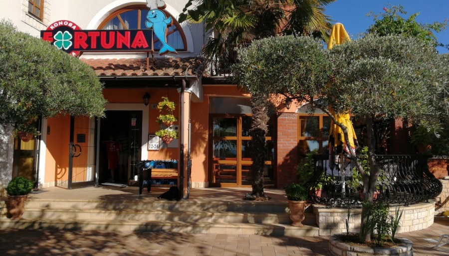 Restoran Fortuna Novigrad cijene, slike hrane, meni, kontakt forum komentari