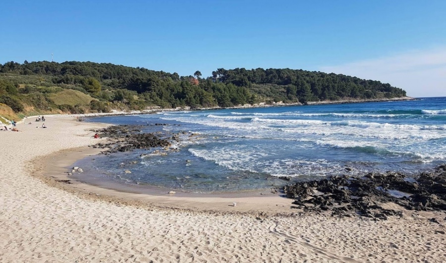 Plaža Vela Pržina Lumbarda Korčula