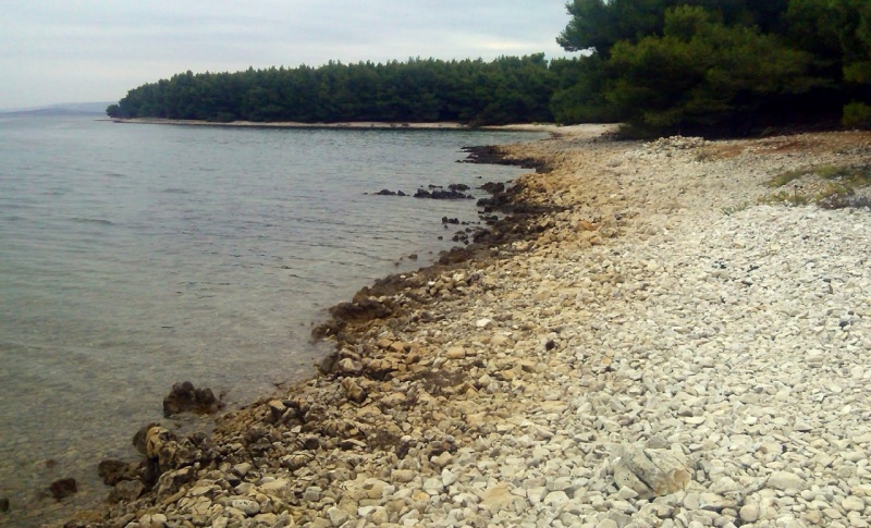 Povljana rastovac beach